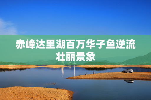 赤峰达里湖百万华子鱼逆流壮丽景象
