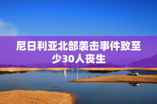 尼日利亚北部袭击事件致至少30人丧生