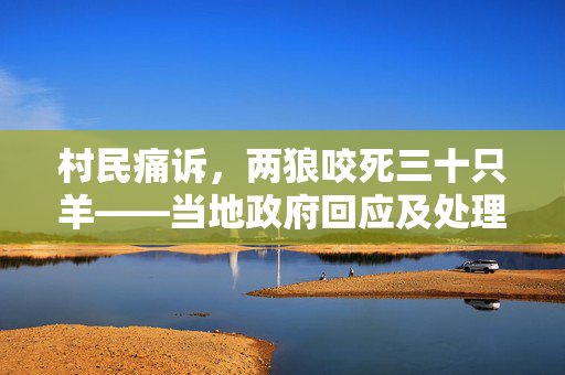 村民痛诉，两狼咬死三十只羊——当地政府回应及处理措施