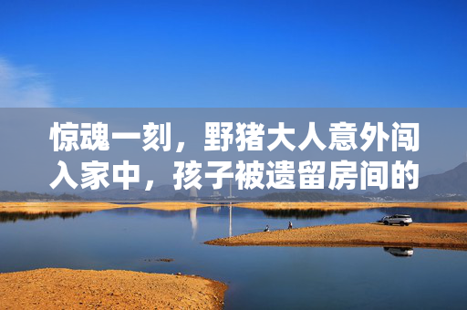 惊魂一刻，野猪大人意外闯入家中，孩子被遗留房间的惊险逃生记