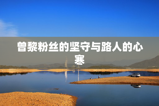 曾黎粉丝的坚守与路人的心寒