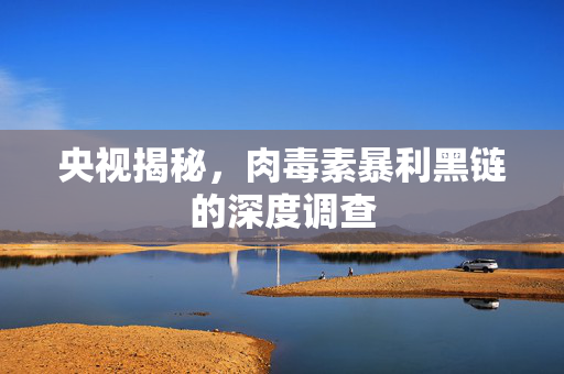 央视揭秘，肉毒素暴利黑链的深度调查