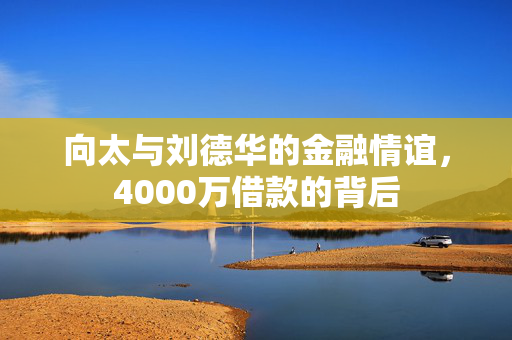 向太与刘德华的金融情谊，4000万借款的背后