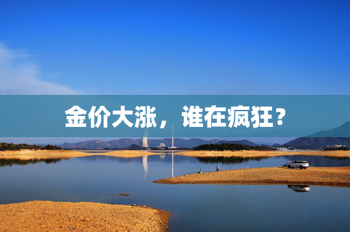 金价大涨，谁在疯狂？