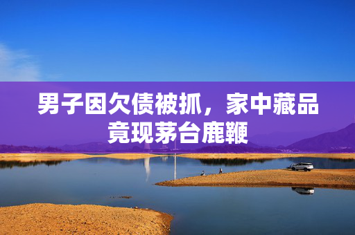 男子因欠债被抓，家中藏品竟现茅台鹿鞭