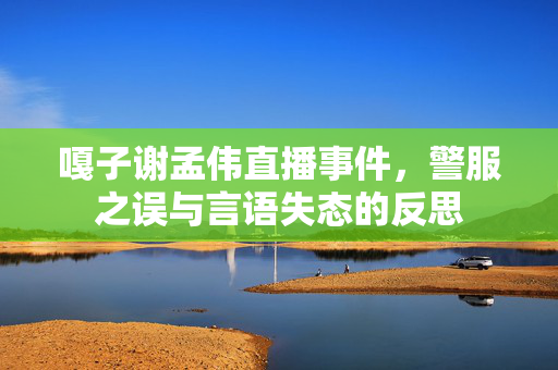 嘎子谢孟伟直播事件，警服之误与言语失态的反思