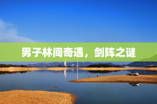 男子林间奇遇，剑阵之谜