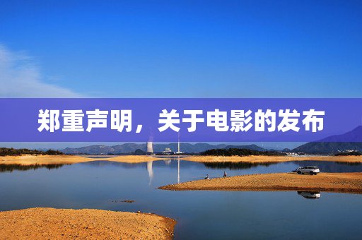 郑重声明，关于电影的发布