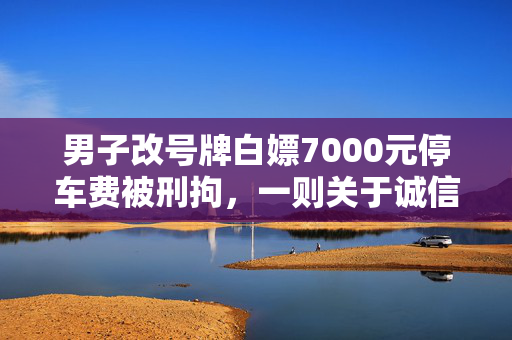 男子改号牌白嫖7000元停车费被刑拘，一则关于诚信与法律的警示