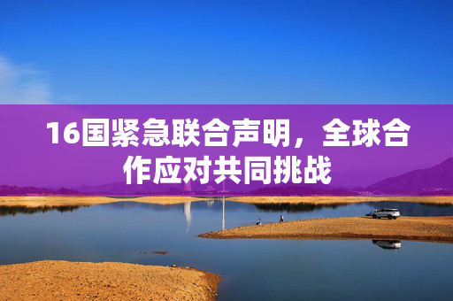 16国紧急联合声明，全球合作应对共同挑战