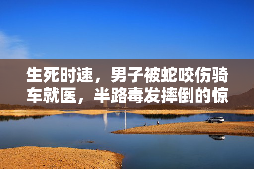 生死时速，男子被蛇咬伤骑车就医，半路毒发摔倒的惊险经历
