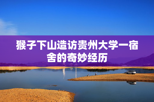 猴子下山造访贵州大学一宿舍的奇妙经历