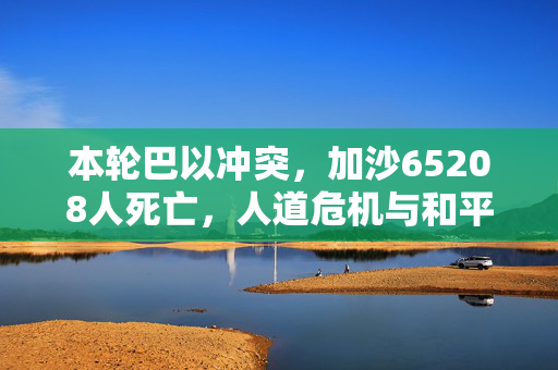 本轮巴以冲突，加沙65208人死亡，人道危机与和平的呼唤