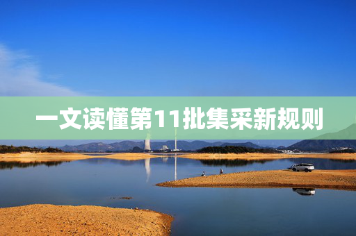 一文读懂第11批集采新规则