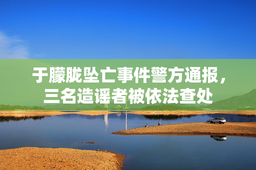 于朦胧坠亡事件警方通报，三名造谣者被依法查处