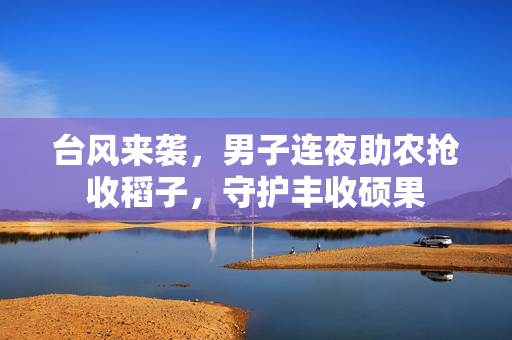 台风来袭，男子连夜助农抢收稻子，守护丰收硕果