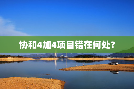 协和4加4项目错在何处？