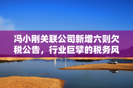 冯小刚关联公司新增六则欠税公告，行业巨擘的税务风波与公众关注