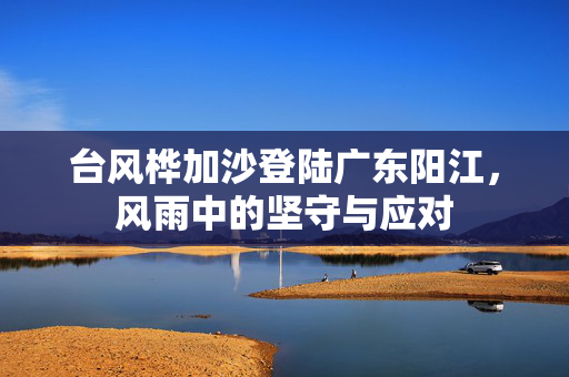 台风桦加沙登陆广东阳江，风雨中的坚守与应对