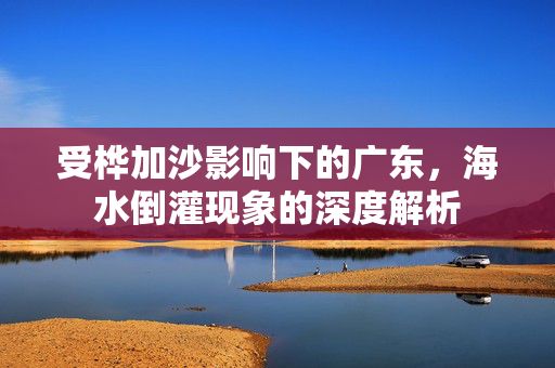 受桦加沙影响下的广东，海水倒灌现象的深度解析