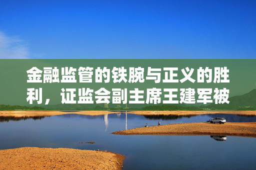 金融监管的铁腕与正义的胜利，证监会副主席王建军被查