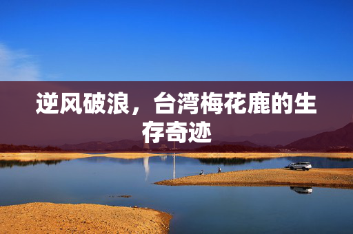 逆风破浪，台湾梅花鹿的生存奇迹