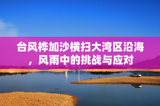 台风桦加沙横扫大湾区沿海，风雨中的挑战与应对