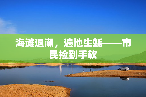 海滩退潮，遍地生蚝——市民捡到手软