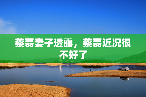 蔡磊妻子透露，蔡磊近况很不好了