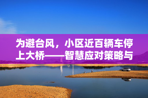 为避台风，小区近百辆车停上大桥——智慧应对策略与城市管理思考