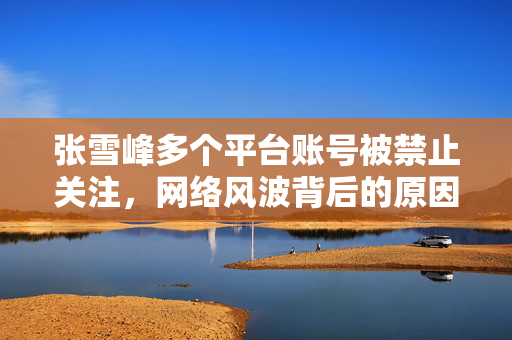 张雪峰多个平台账号被禁止关注，网络风波背后的原因与思考