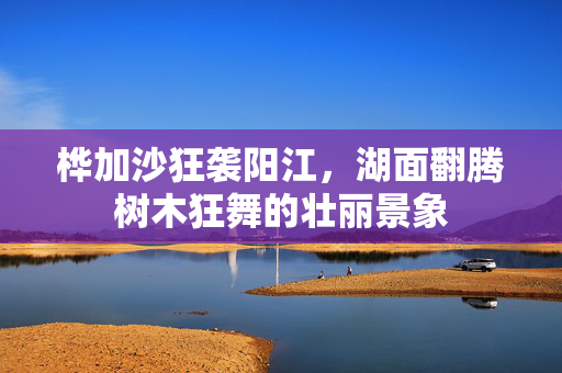 桦加沙狂袭阳江，湖面翻腾树木狂舞的壮丽景象