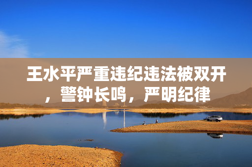 王水平严重违纪违法被双开，警钟长鸣，严明纪律