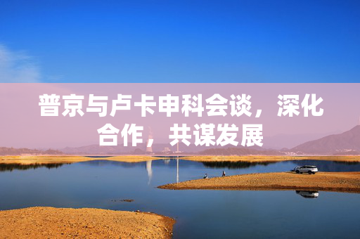 普京与卢卡申科会谈，深化合作，共谋发展