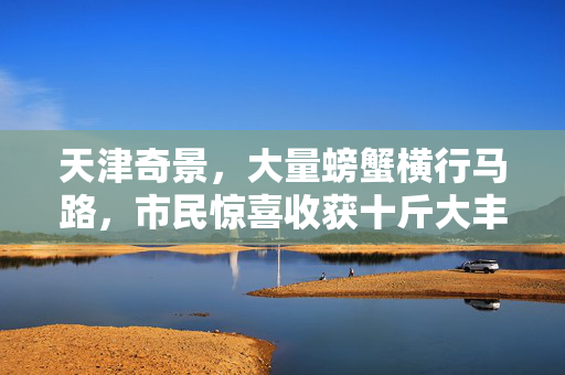天津奇景，大量螃蟹横行马路，市民惊喜收获十斤大丰收
