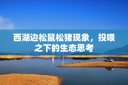 西湖边松鼠松猪现象，投喂之下的生态思考