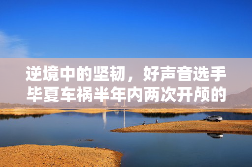 逆境中的坚韧，好声音选手毕夏车祸半年内两次开颅的勇敢人生