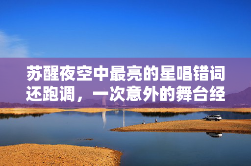 苏醒夜空中最亮的星唱错词还跑调，一次意外的舞台经历