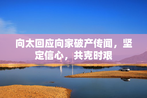 向太回应向家破产传闻，坚定信心，共克时艰