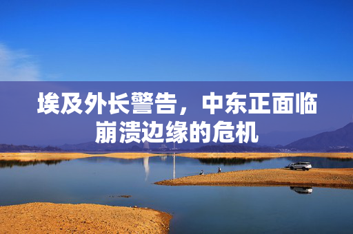埃及外长警告，中东正面临崩溃边缘的危机
