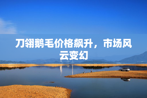 刀翎鹅毛价格飙升，市场风云变幻