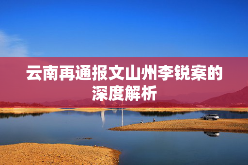 云南再通报文山州李锐案的深度解析