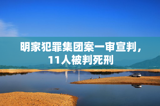 明家犯罪集团案一审宣判，11人被判死刑