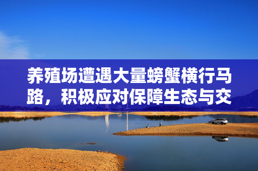 养殖场遭遇大量螃蟹横行马路，积极应对保障生态与交通