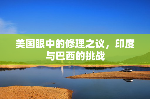 美国眼中的修理之议，印度与巴西的挑战