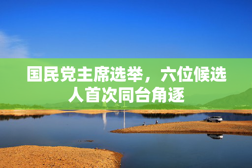 国民党主席选举，六位候选人首次同台角逐