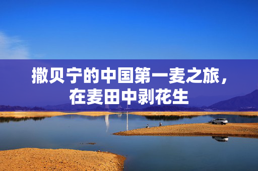 撒贝宁的中国第一麦之旅，在麦田中剥花生