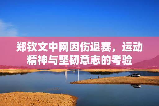 郑钦文中网因伤退赛，运动精神与坚韧意志的考验