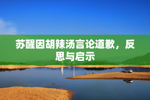 苏醒因胡辣汤言论道歉，反思与启示