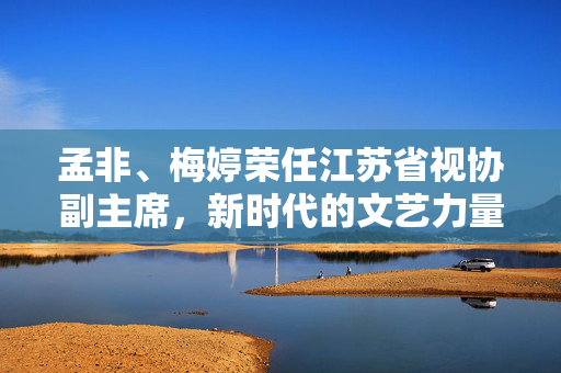 孟非、梅婷荣任江苏省视协副主席，新时代的文艺力量